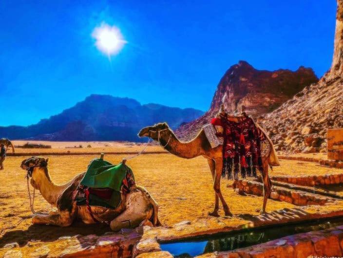 Moon City With Jeep Trips وادي رم المظهر الخارجي الصورة