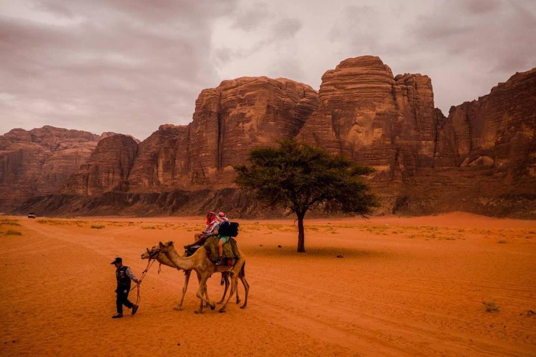 Moon City With Jeep Trips وادي رم المظهر الخارجي الصورة